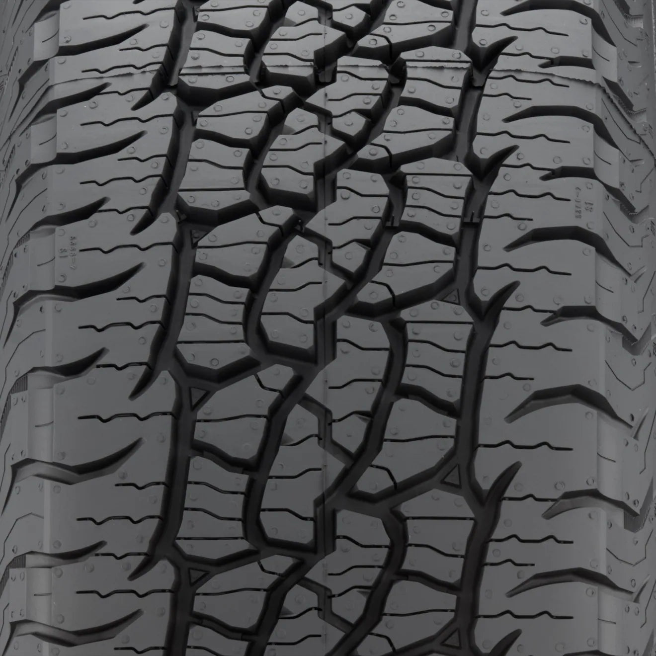 BF Goodrich Trail Terrain T/A Tire